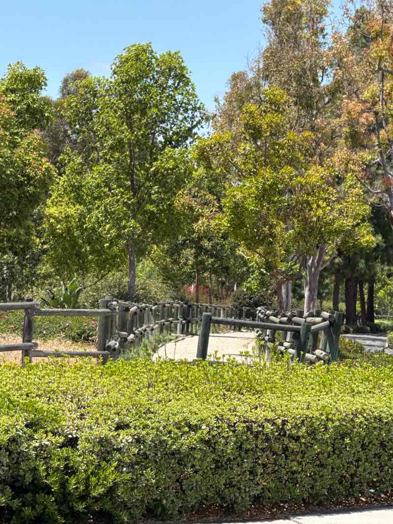 walking near me in Citrus Ranch Park in spring