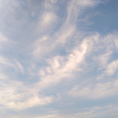 Шагать  с собакой. Сочи. Александр🇷🇺 post image