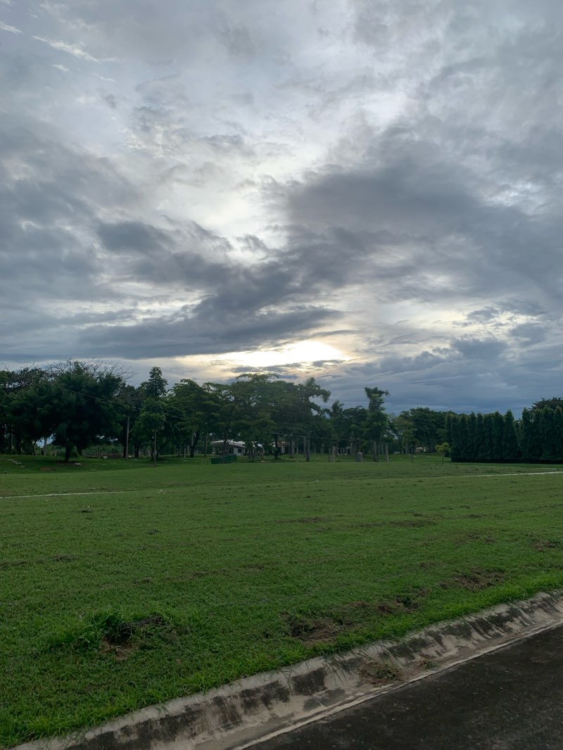 walking near me in Japanese Garden Park in winter