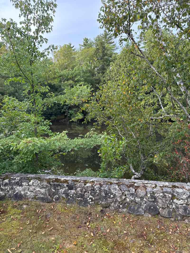 walking near me in Scytheville Park in autumn