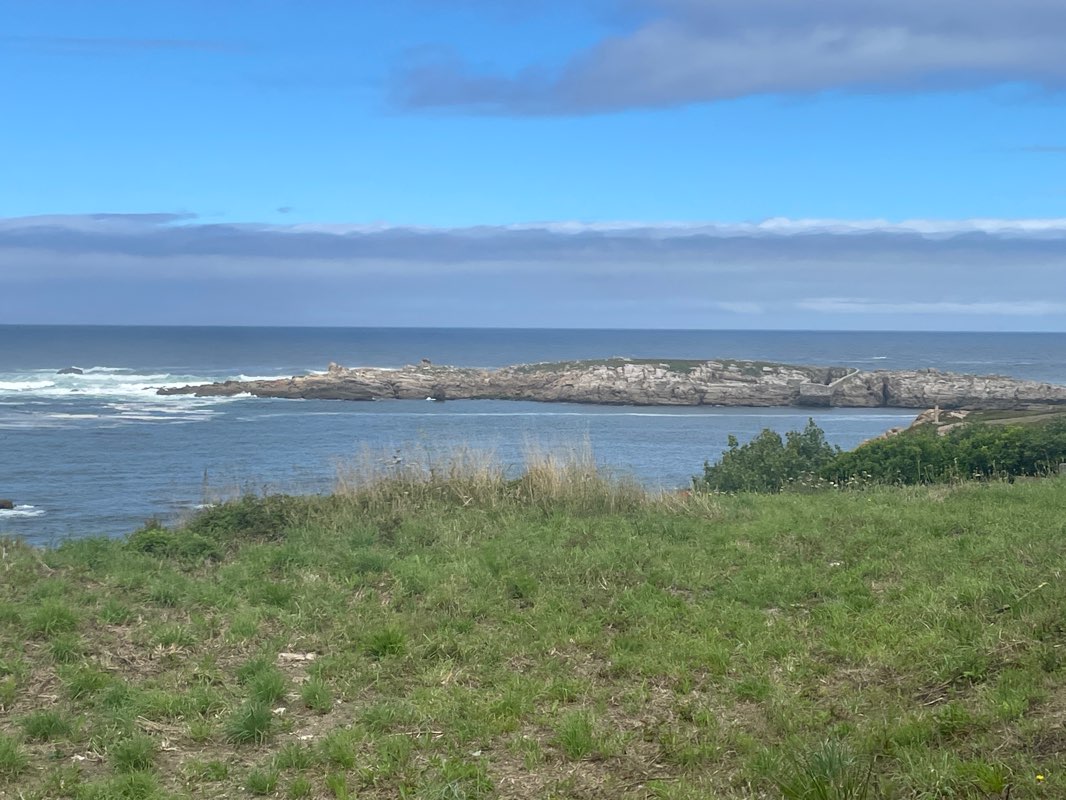 walking near me in Praza de Pontevedra in winter