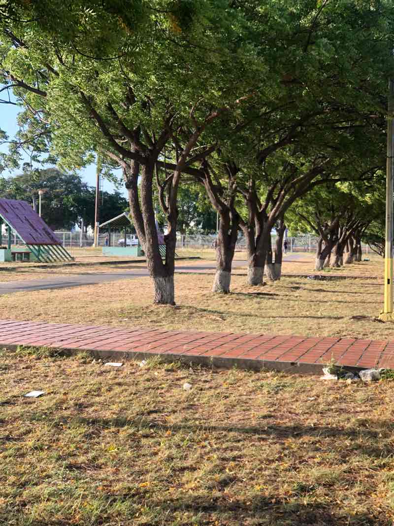 walking near me in Parque Las Ballenas in winter