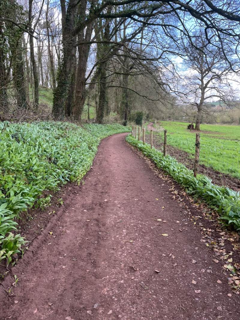 walking near me in Cross Park in winter