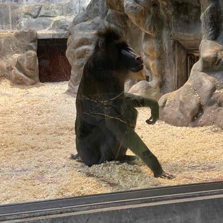 Ingrid De leus post 2