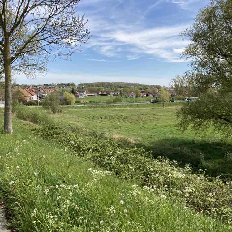 Ingrid De leus post 1