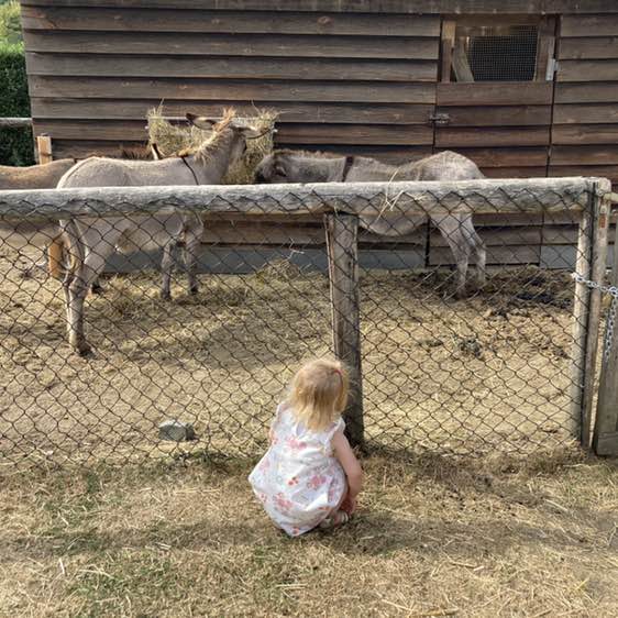 Ingrid De leus post 1