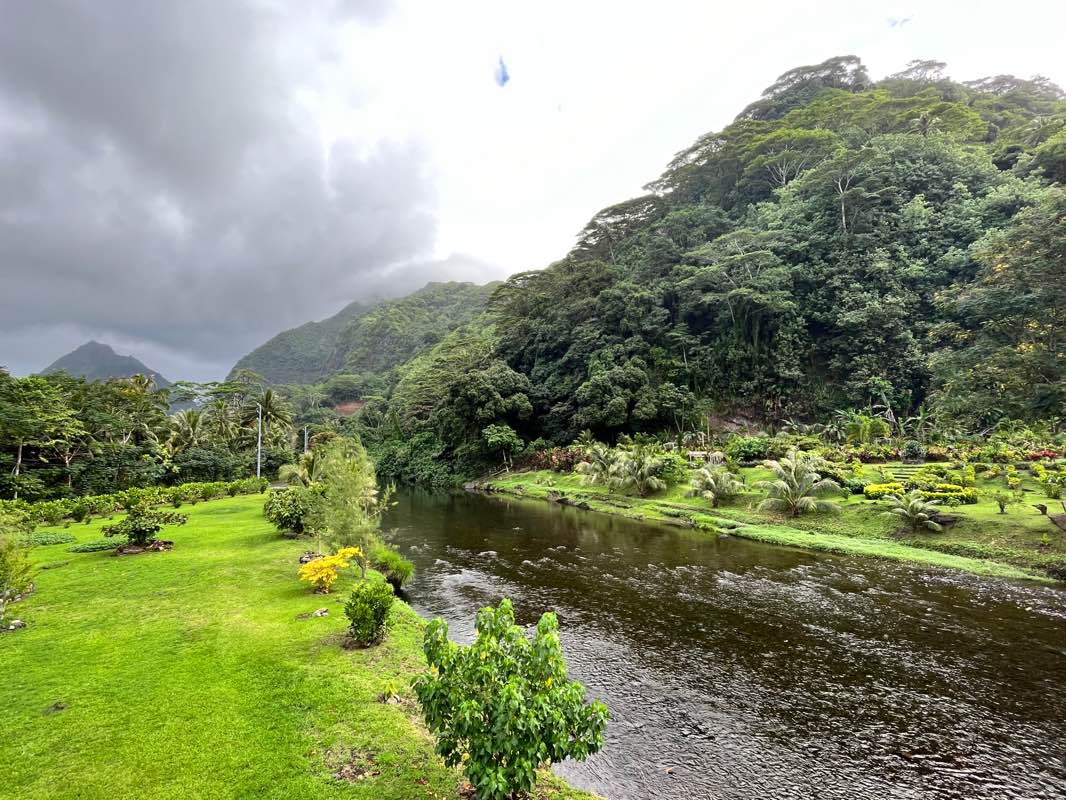 walking near me in Jardin Botanique Harrison Smith in summer