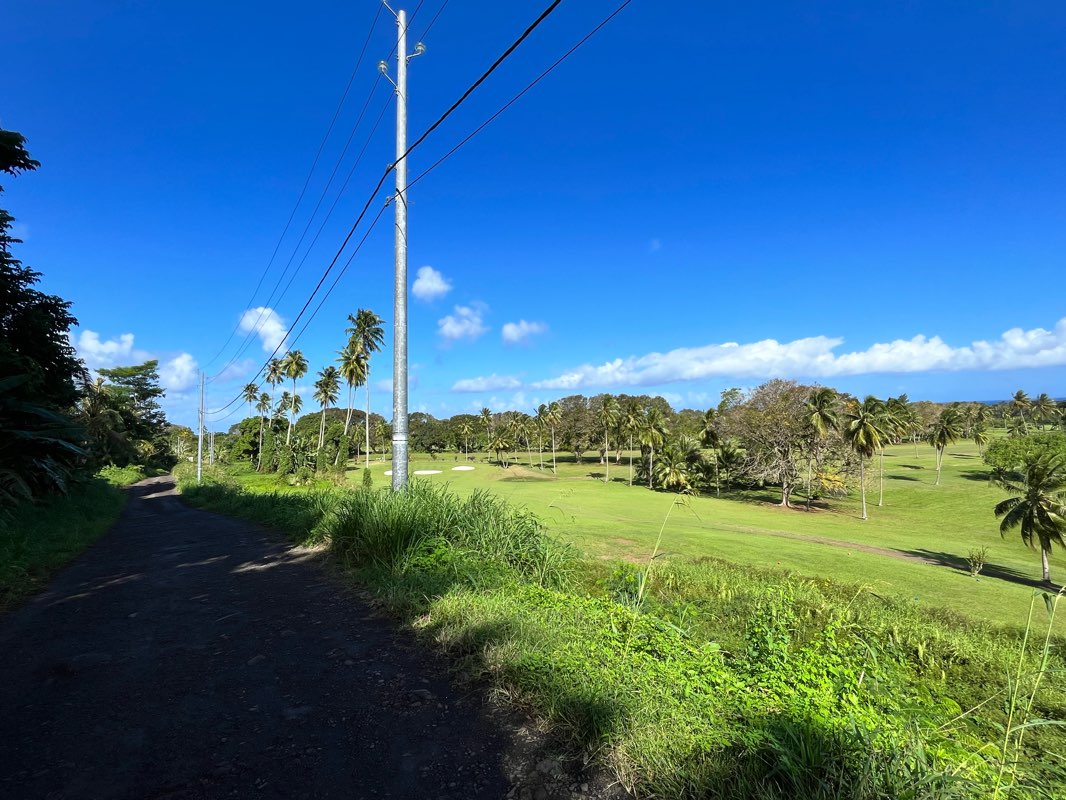 walking near me in Parc Vairai in summer