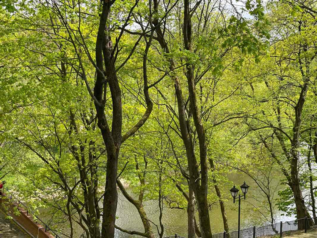 walking near me in Victory Park in winter