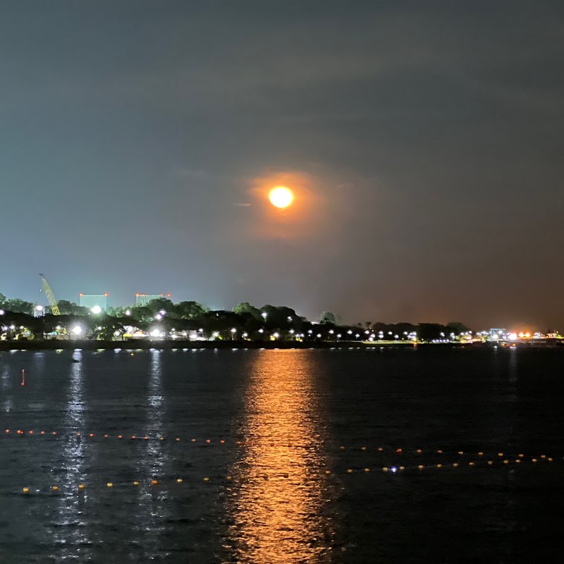 ENV - RCE - Bryan Sylvester