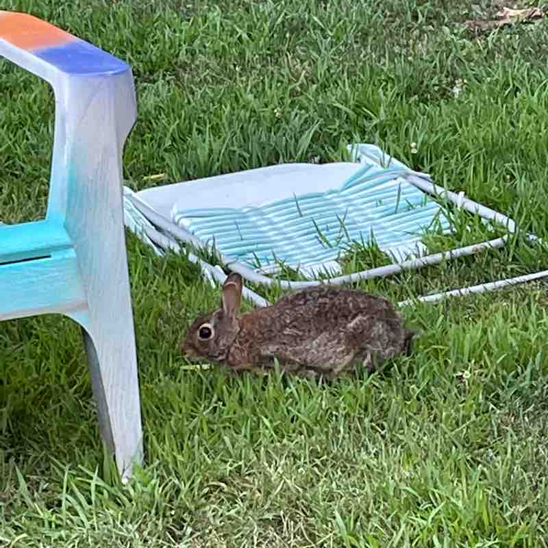 Gaston Cartagena post 2