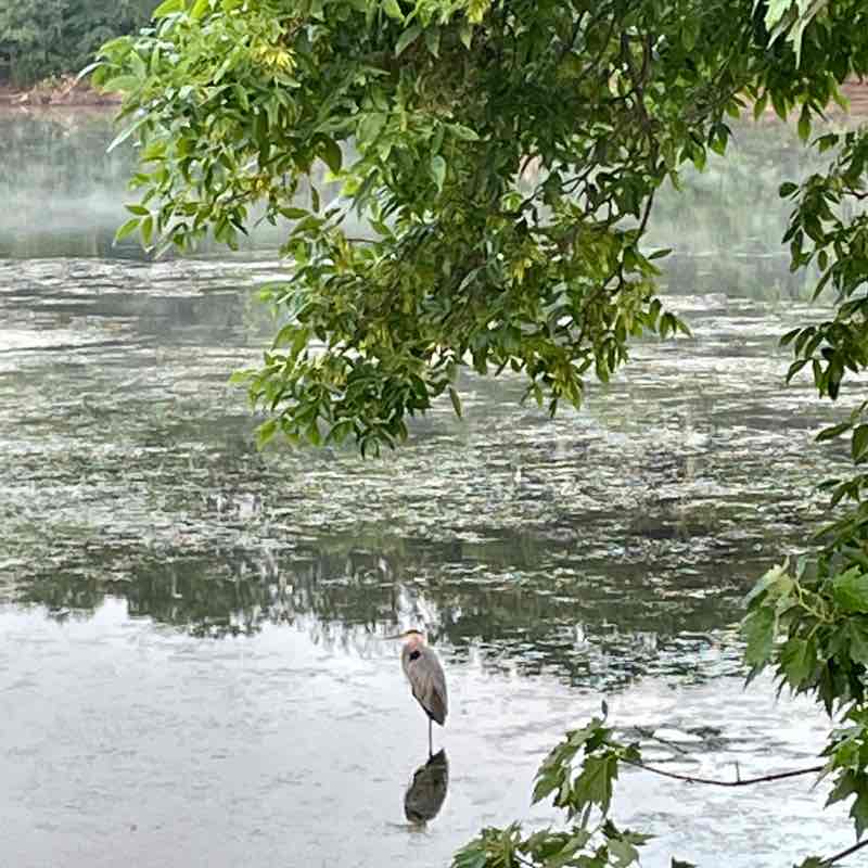 Gaston Cartagena post 3