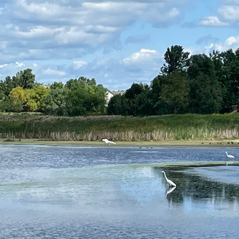 Gaston Cartagena post 2