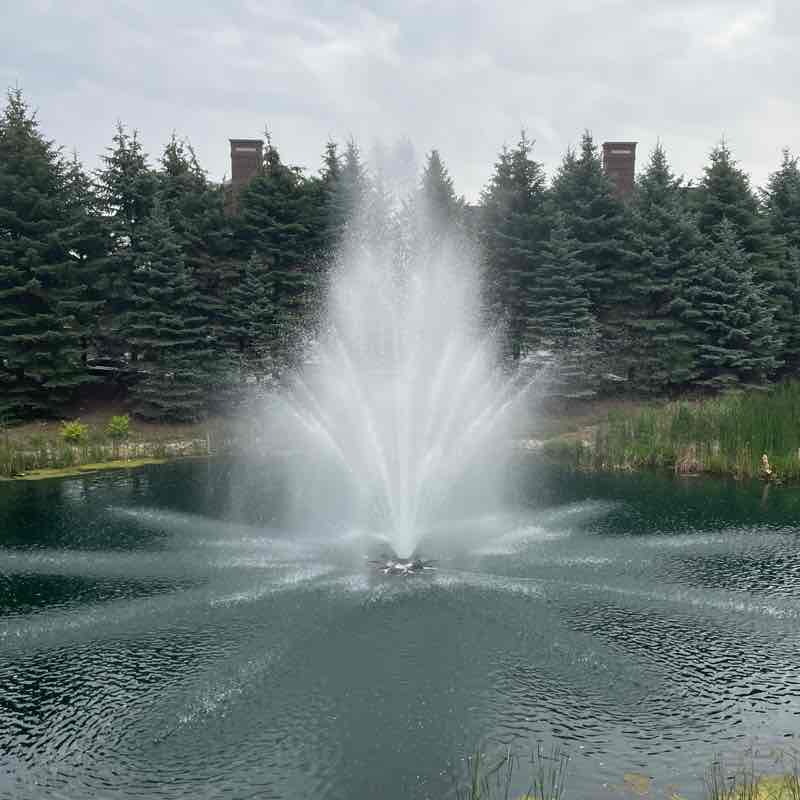 Gaston Cartagena post 1