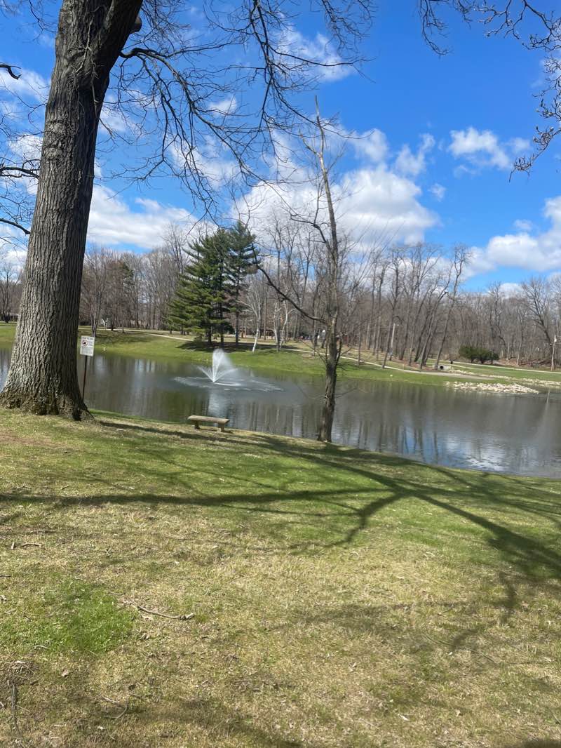walking near me in Memorial Park in winter