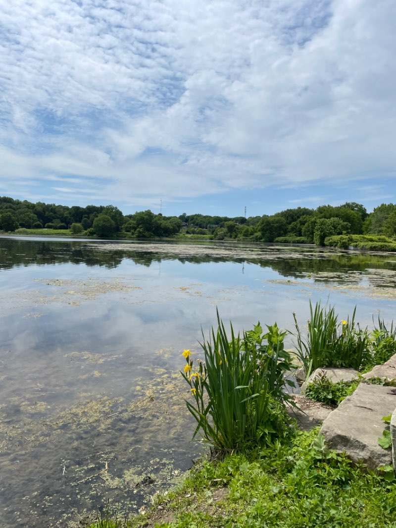 walking near me in Summit Lake Park in winter