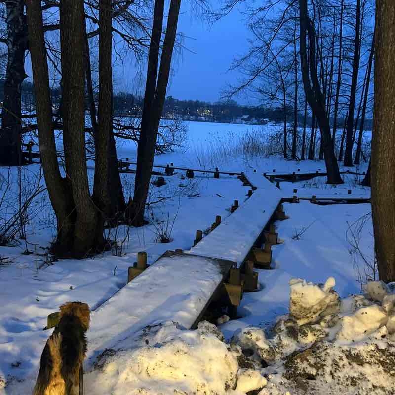 Heroic marchers Pierre post image