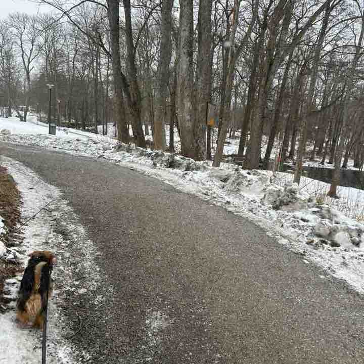 Heroic marchers Pierre post image