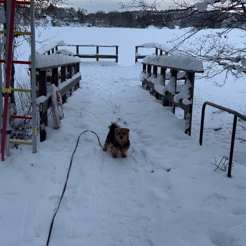 Heroic marchers Pierre post image