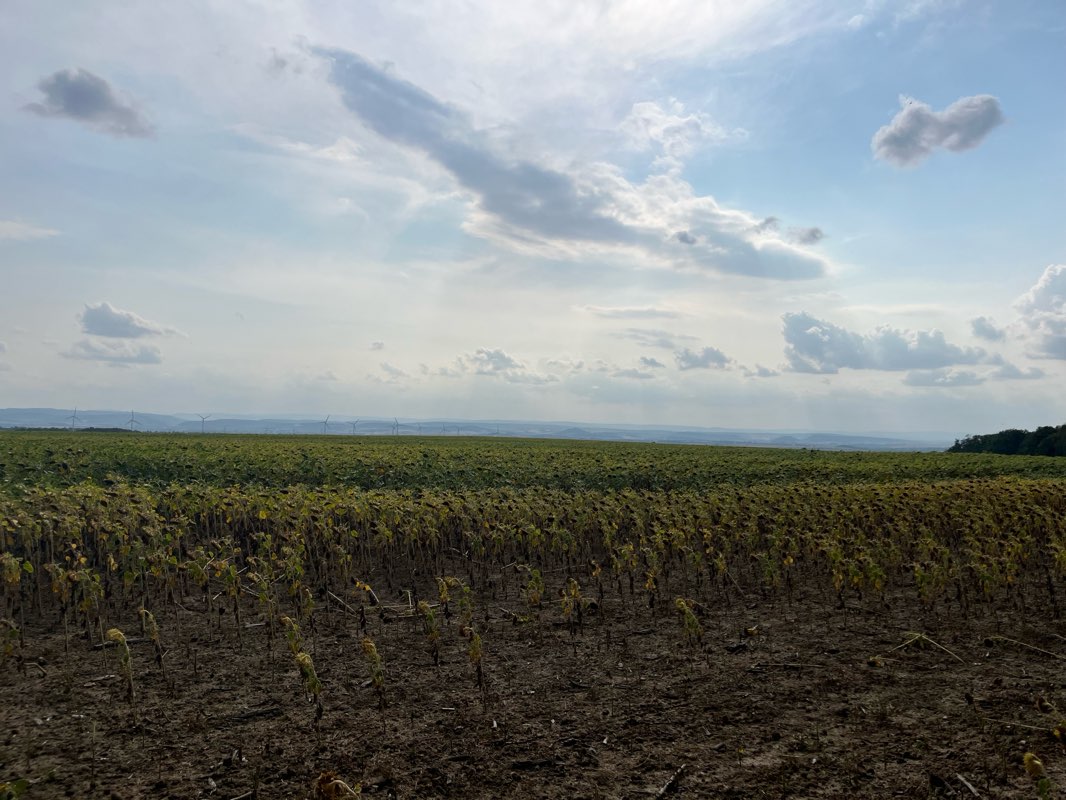 walking near me in Südpark in autumn