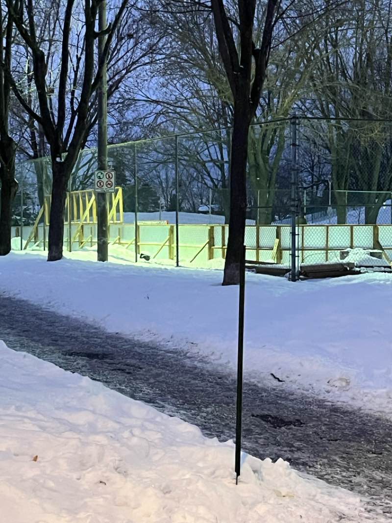 walking near me in Parc Westminster in winter