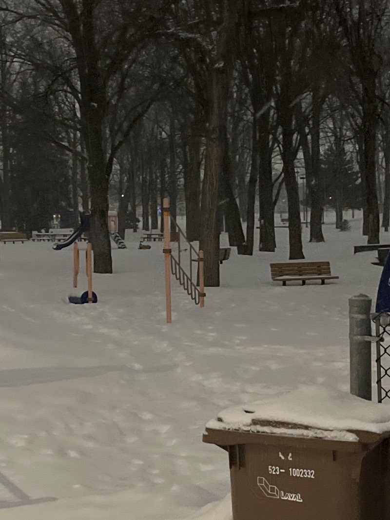 walking near me in Parc Chopin in winter