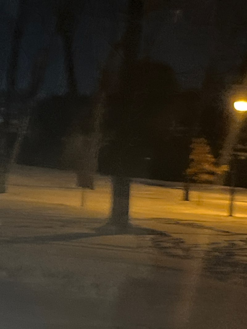 walking near me in Parc Bizet in winter