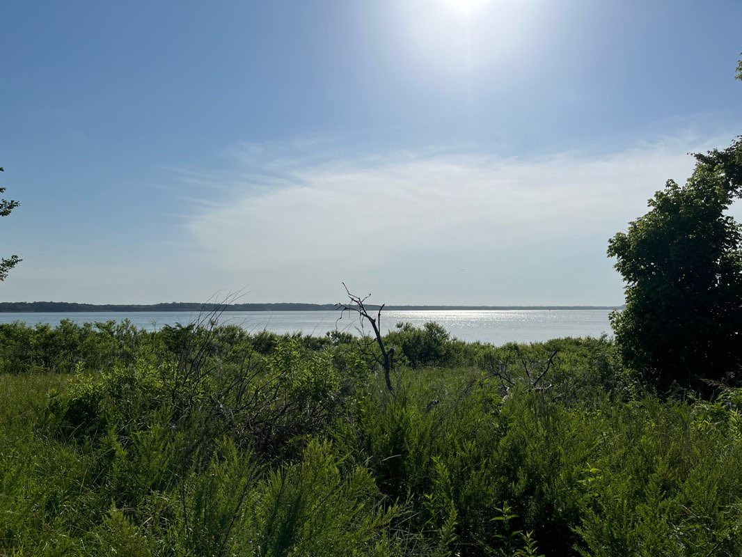 walking near me in Bob Jones Park in winter