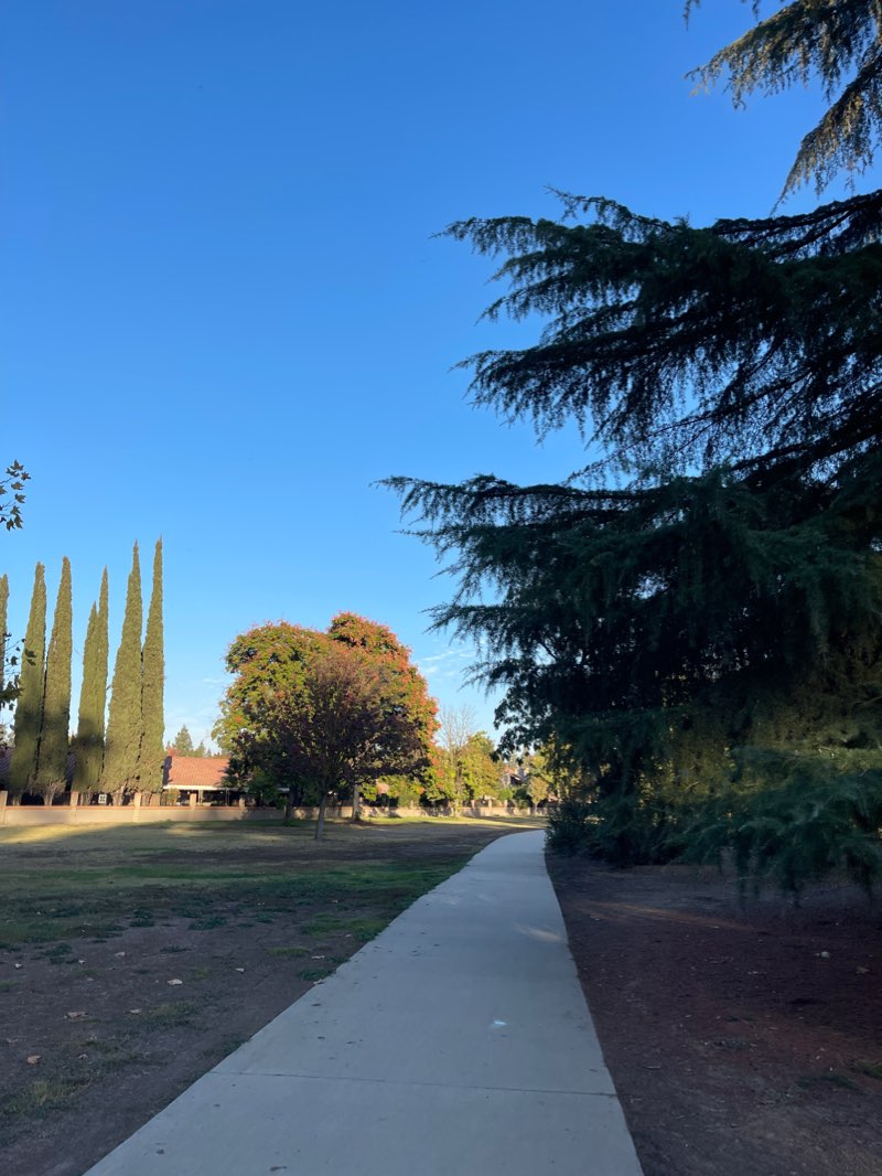 walking near me in Sante Fe Park in winter