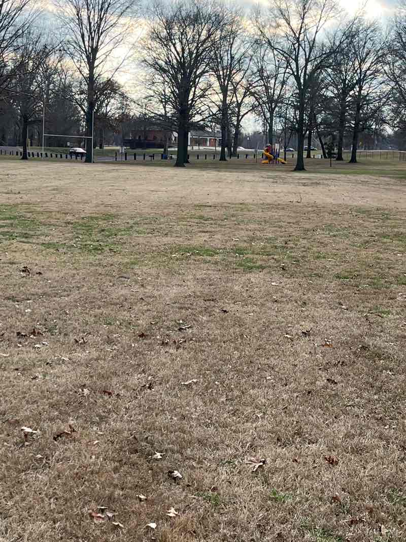 walking near me in North End Park in winter