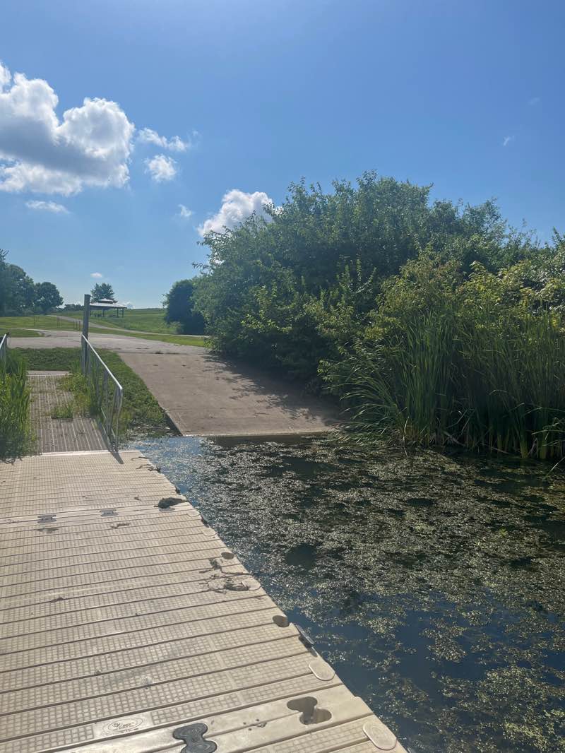 walking near me in St Ellen Mine Park in summer