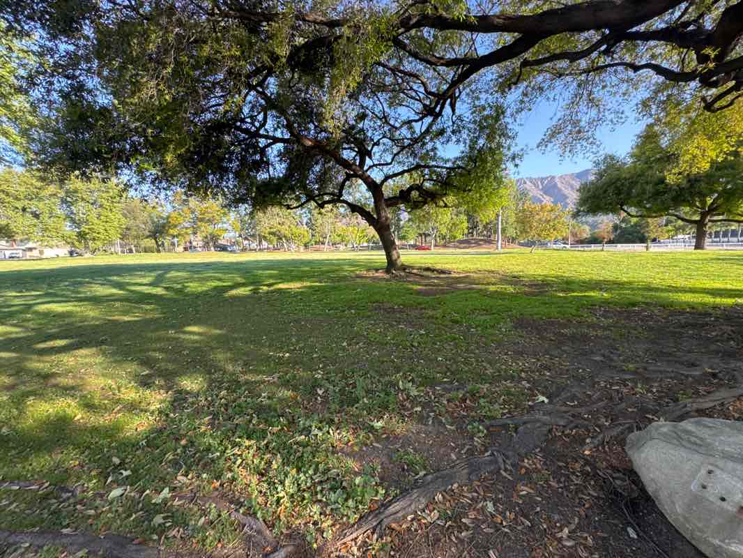 walking near me in Gwinn Park in spring