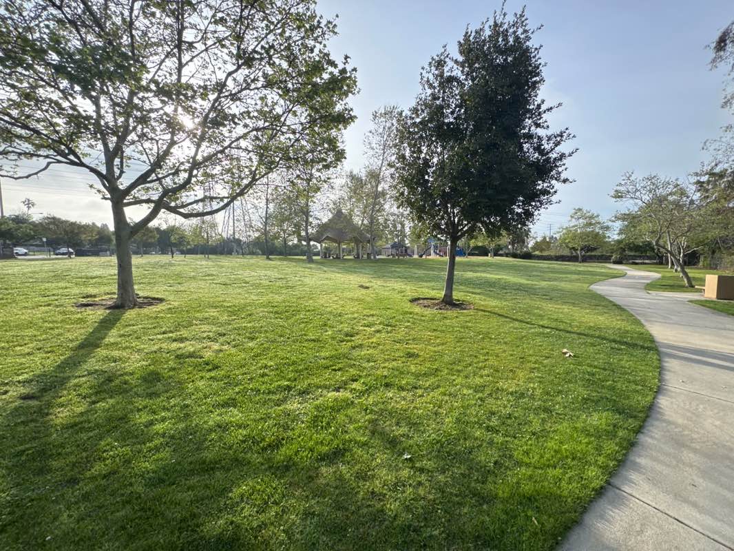 walking near me in Viña Vieja Park in spring