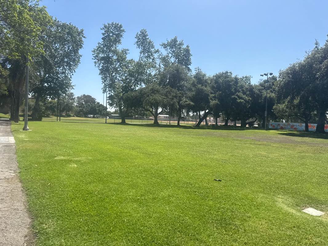 walking near me in Recreation Park in spring