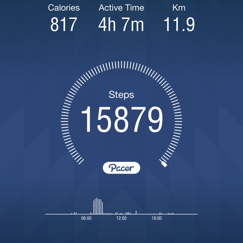 SAYED HASSAN AL-MOSAWI post 1