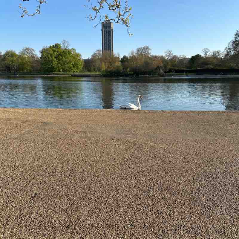 SAYED HASSAN AL-MOSAWI post 1