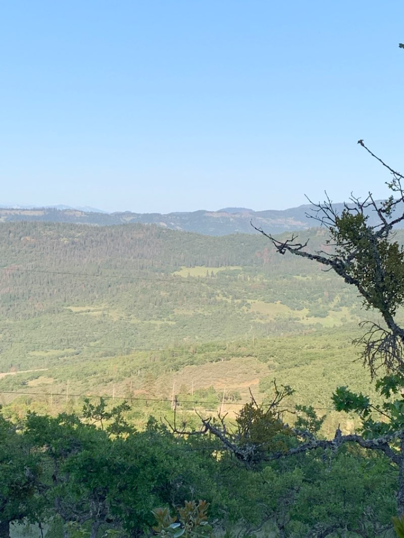 walking near me in Prescott Park in winter