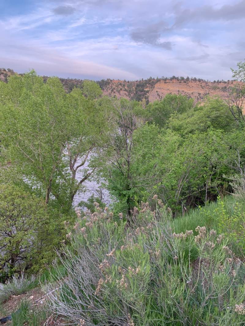 walking near me in Santa Rita - Whitewater Park in winter