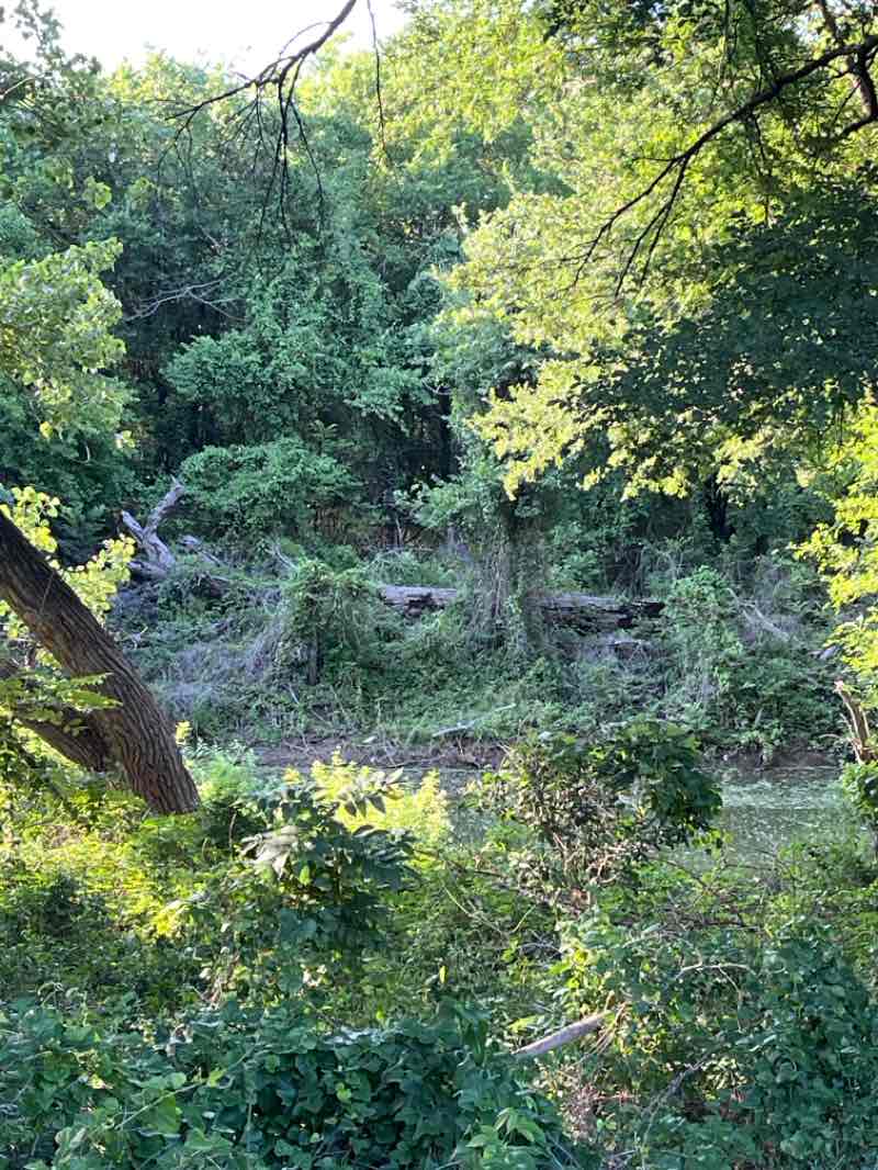 walking near me in Oak Grove Park in summer
