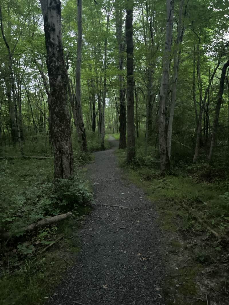 walking near me in Oxford Park in autumn