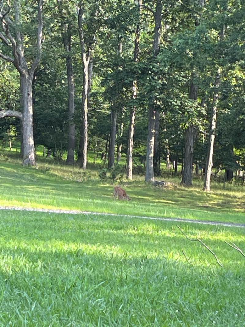 walking near me in Peace Valley Park in autumn