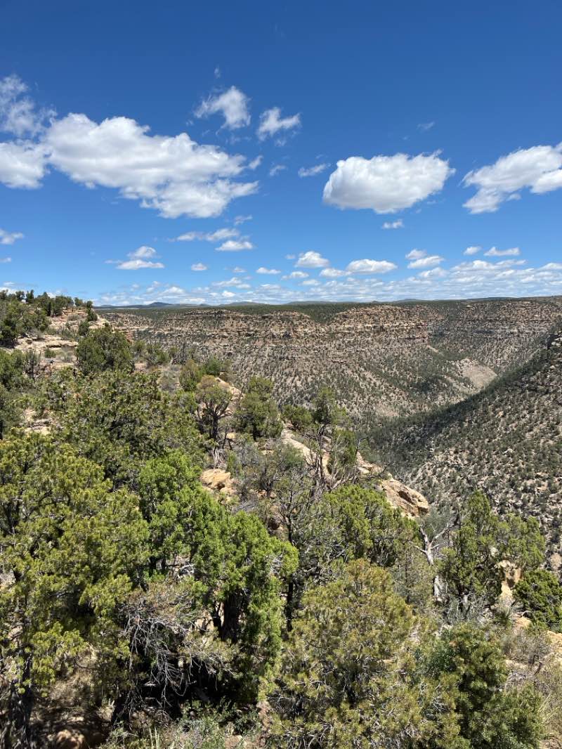 walking near me in Mesa Verde National Park in summer