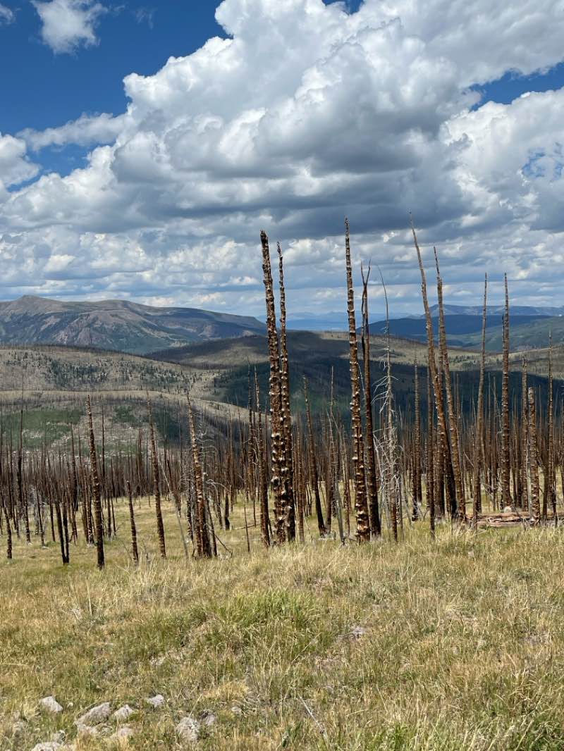 walking near me in Weminuche Wilderness in summer