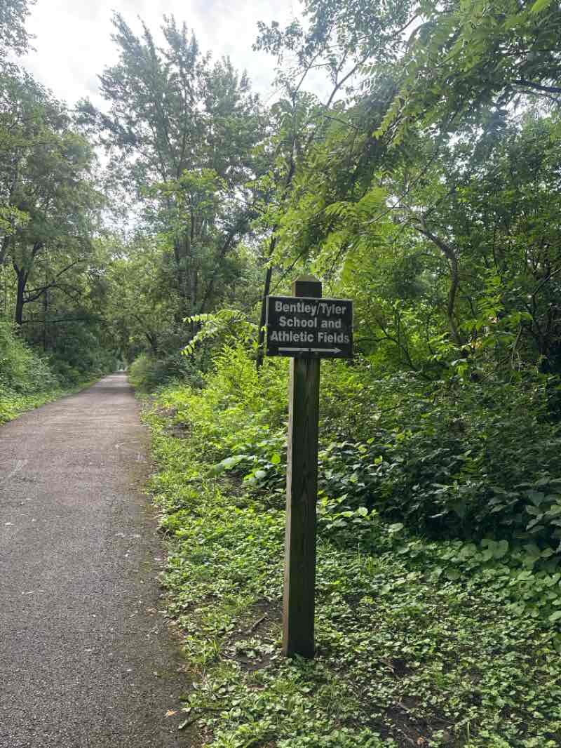 walking near me in Lions Park in summer