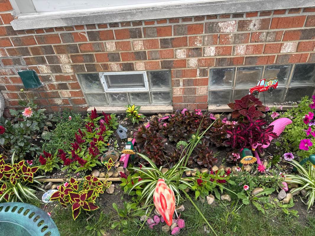 walking near me in Griffin Park in winter