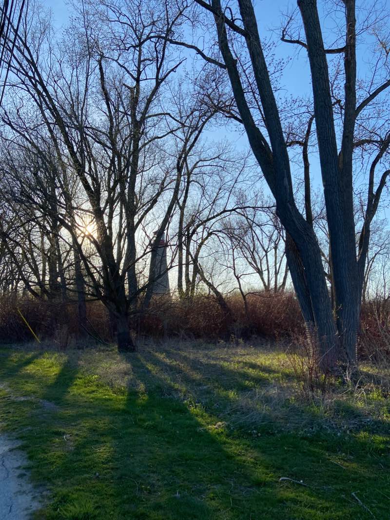 walking near me in Toronto Island Park in winter