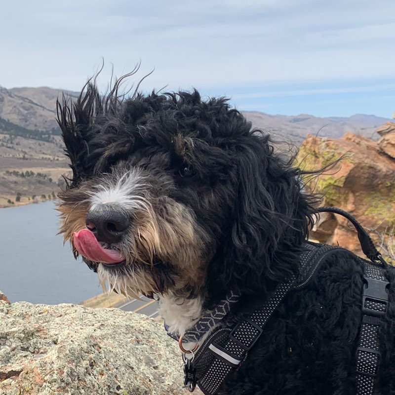 Devon Ausborne-Beisch