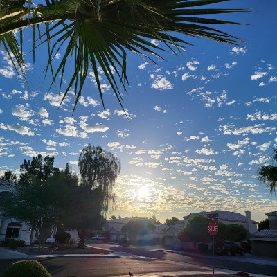 Deena Hardin-KSS post 2