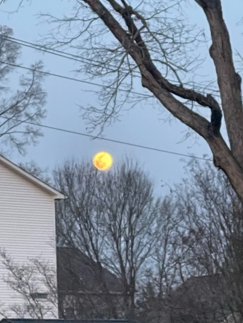 walking near me in South Graham Park in winter