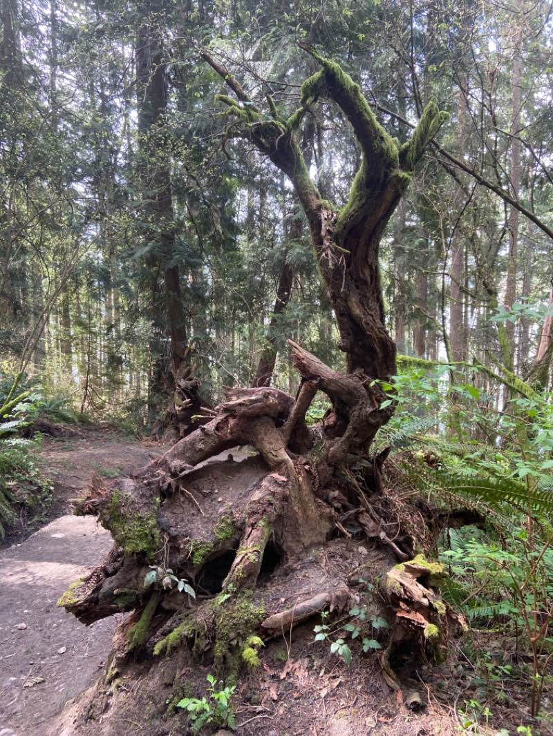 walking near me in Saint Edward State Park in winter
